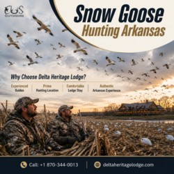 Snow Goose Hunting Arkansas for an Unforgettable Outdoor Trip