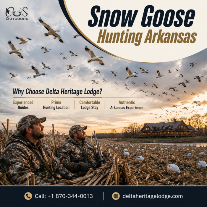 Snow Goose Hunting Arkansas for an Unforgettable Outdoor Trip