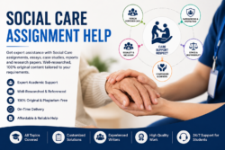 Business Environment Research Help