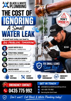 Reliable Plumbing Services in Robina & Gold Coast