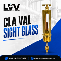 Cla Val Sight Glass