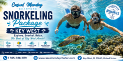 Private Snorkeling Package Key West for an Amazing Ocean Adventure