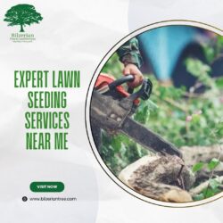 Expert Lawn Seeding Services Near Me