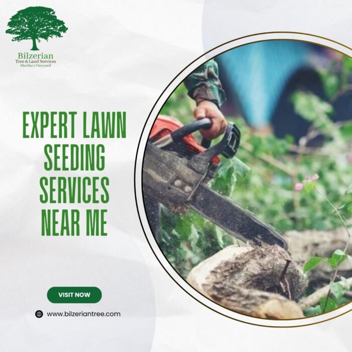 Expert Lawn Seeding Services Near Me