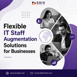 Professional IT Staff Augmentation by Shiv Technolabs