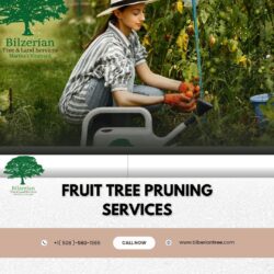 Fruit Tree Pruning Services