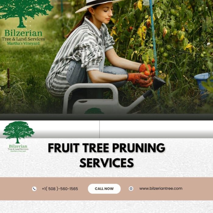 Fruit Tree Pruning Services