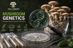 Full Canopy Mushroom Genetics Research and Culture Stability