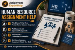 Shape Your HR Career with Expert Human Resource Assignment Help