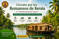 Circuito por los Remansos de Kerala | Descubre Kerala por Agua