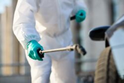 Reliable Pest Control Services Dublin