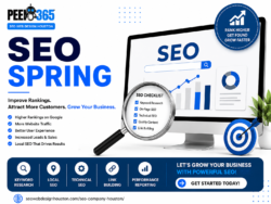 Professional SEO Services in Spring for Better Google Rankings