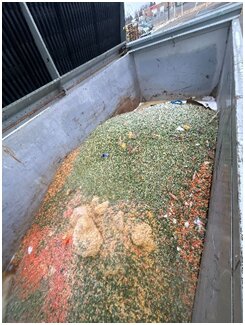 LitterBug Delivers Waste Disposal in Lethbridge with Reliable Service