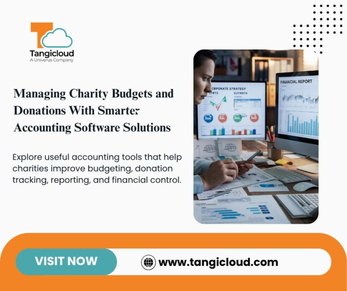 Smart Financial Management Practices Supported by Accounting Software for Charities