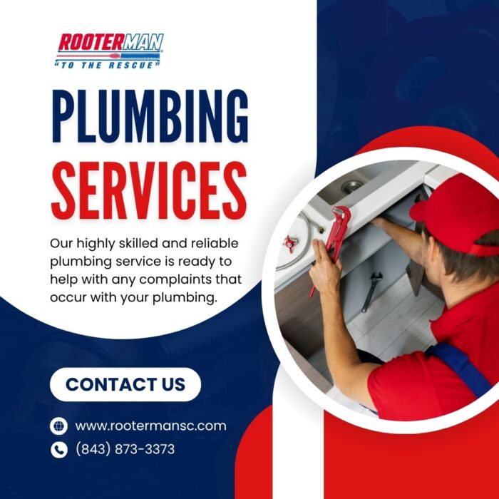 Professional Plumbing Services You Can Count On