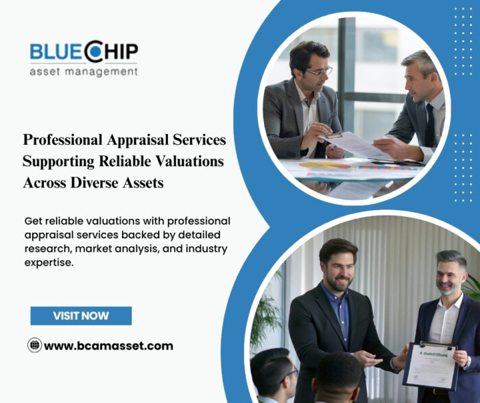 Comprehensive Asset Assessments Supporting Informed Business Valuation Decisions