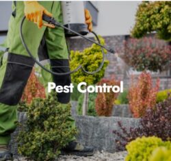 Proyards Landscape & Maintenance: Solutions for pest control in utah county