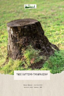 Tree Cutting Thornleigh