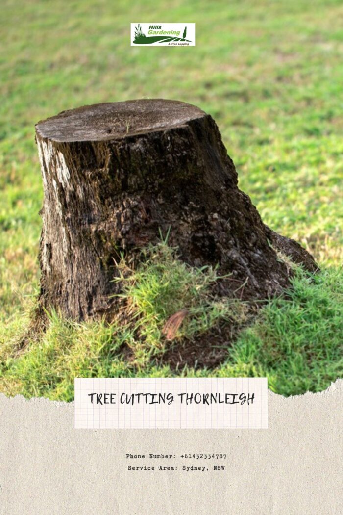 Tree Cutting Thornleigh