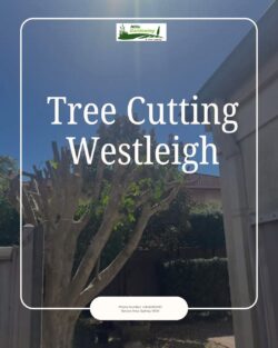 Tree Cutting Westleigh