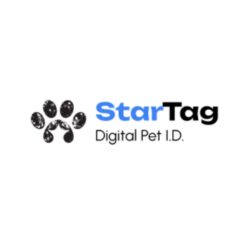 Dog Travel Safety Products: Essential Gear for Safer Adventures With Your Pet