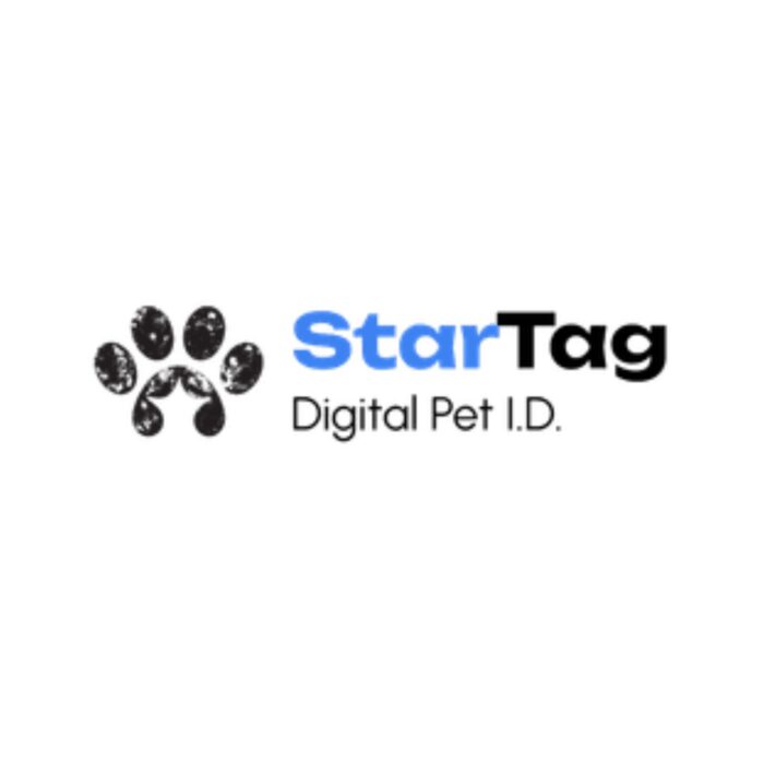 Dog Travel Safety Products: Essential Gear for Safer Adventures With Your Pet
