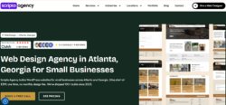 Web Design Agency in Atlanta, Georgia for Small Businesses