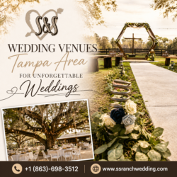 Wedding Venues Tampa Area for Unforgettable Weddings