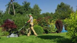 Premium Residential Lawn Care Services for Beautiful Outdoor Living Spaces