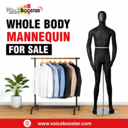 Whole Body Mannequin for Sale