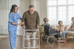 Trusted Home Care Providers Oatley for Personalised Support