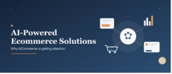 AICommerce Innovation: Building the Future of AI-Driven Online Commerce
