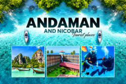 Andaman Packages from Chennai | Plan Your Island Trip