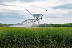Rich River Spray Irrigation: Local Irrigation Experts