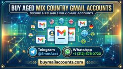 Top 33 Platforms to Buy Aged Mix Country Gmail Accounts in the USA