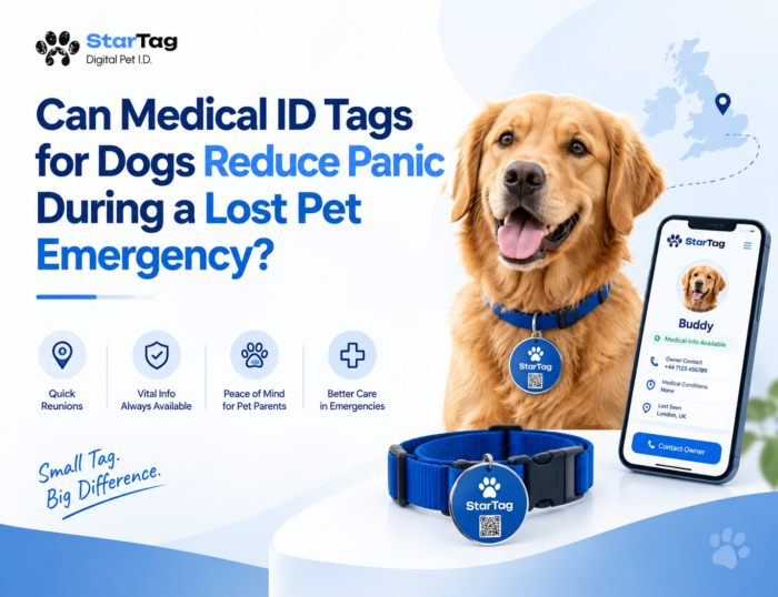Medical ID Dog Tags for Safer, Smarter Pet Care