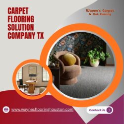 Carpet Flooring Solution Company TX