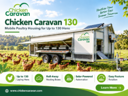 Chicken Caravan 130 | Mobile Poultry Housing for 130 Hens