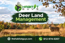 Deer Land Management for Stronger Wildlife Habitats