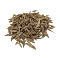 Benefits of Marathon Seed for Lush Lawns
