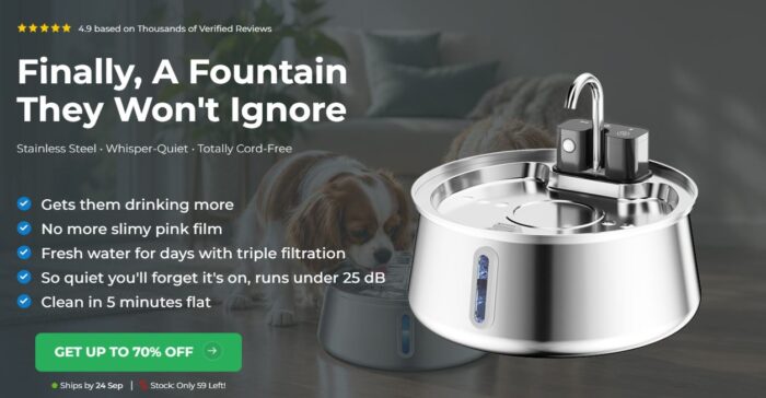 Choosing the Right Dog Water Bowl: Why Consider FounTaiL?
