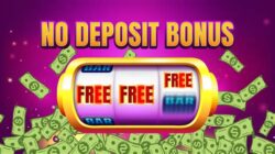 No Deposit Bonus Casino Offers: A Practical Online Casino Guide