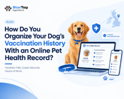 How Do You Organize Your Dog’s Vaccination History With an Online Pet Health Record?