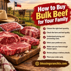 How to Buy Bulk Beef for Your Family