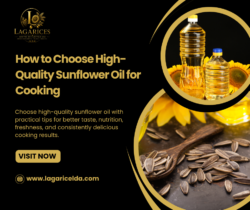 Choosing Sunflower Oil for Food and Wholesale Requirements