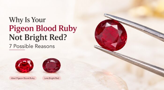 Why are the blood cells in your pigeon not bright red? 7 Possible Reasons