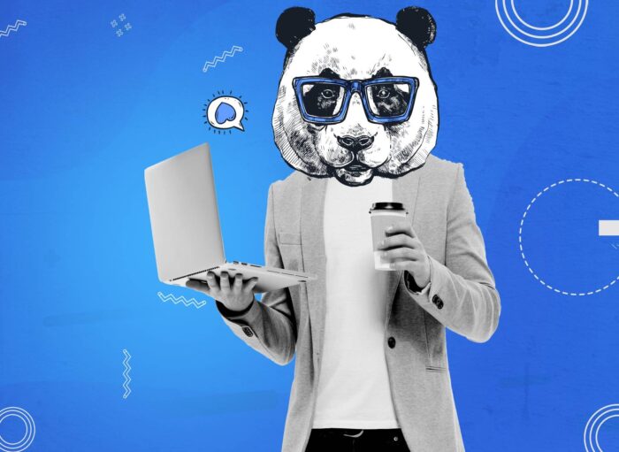 Social Media Companies and the Best Web Design Agency: How to Choose the Right Digital Partner