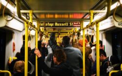 Bus Body Parts Manufacturers: Why Safety Accessories Like the Emergency Hammer Matter
