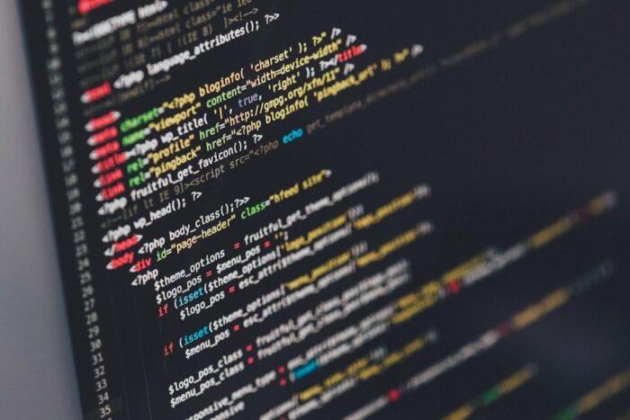 WordPress Custom Theme Development Services and Custom WordPress Plugin Development