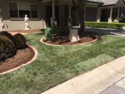 Find a Landscaper in Southern Highlands at Semms Property Services